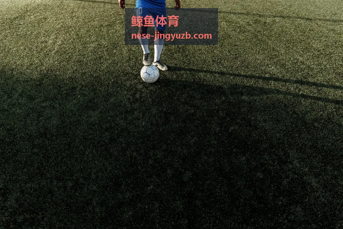 鲸鱼体育赛程日历城市观赛路线与比赛安排